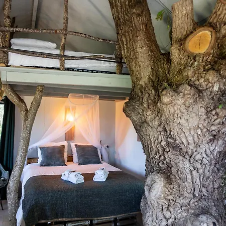 Kemp Boomhuis Domaine Bonneblond *